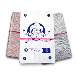 2 jeux Fougères-C Calli Cartes