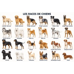 Les chiens - Tapis de jeux...
